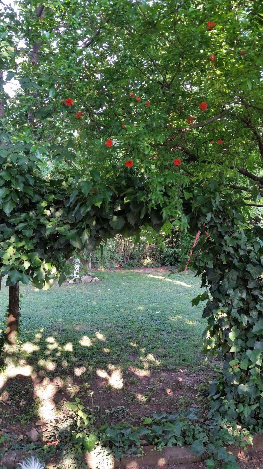 La Cascina Di Alice Panzió Castiglione delle Stiviere Kültér fotó